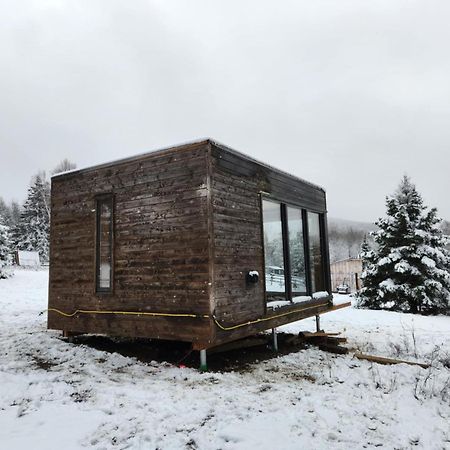 Dome Forestier - Experience Glamping Detente Apartment Saint-Philemon Exterior photo